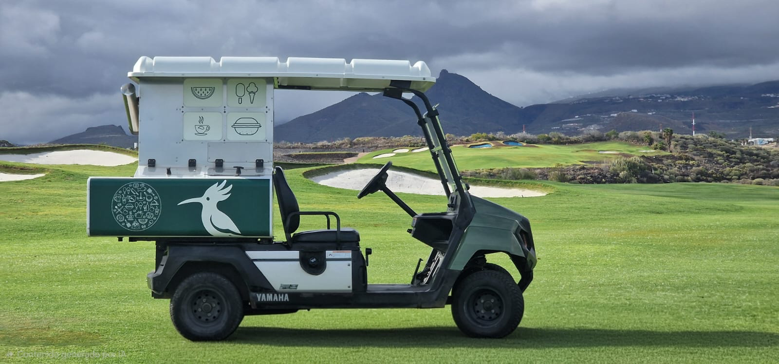 Buggy Bar Yamaha vehicle