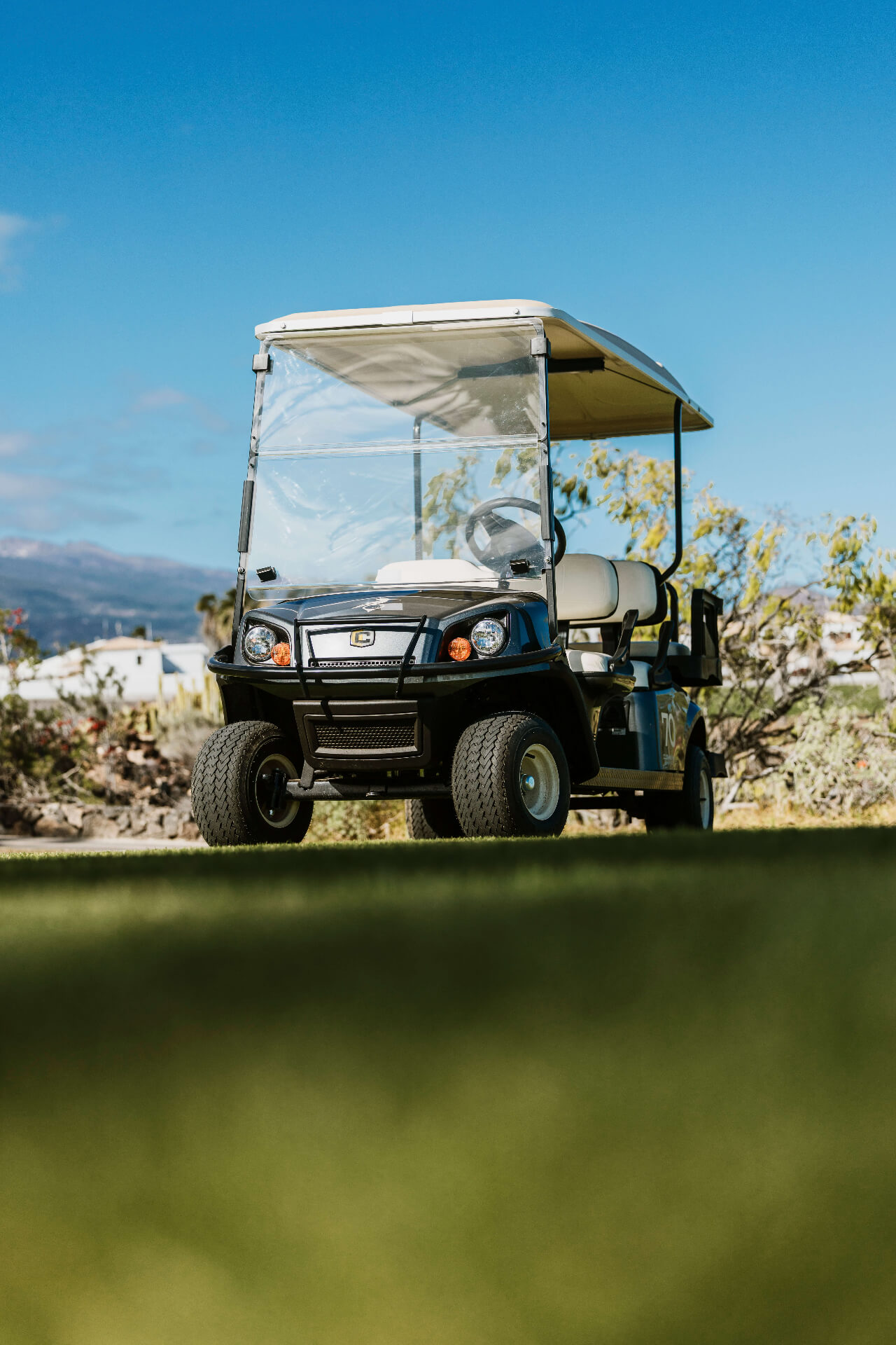 Buggy on Fairway