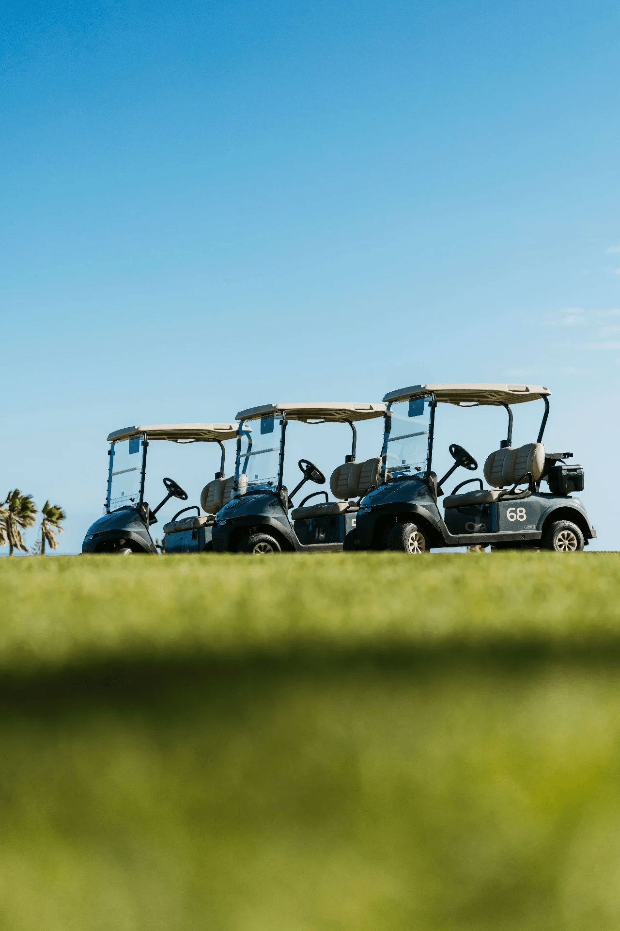 Golf del Sur Buggy Fleet
