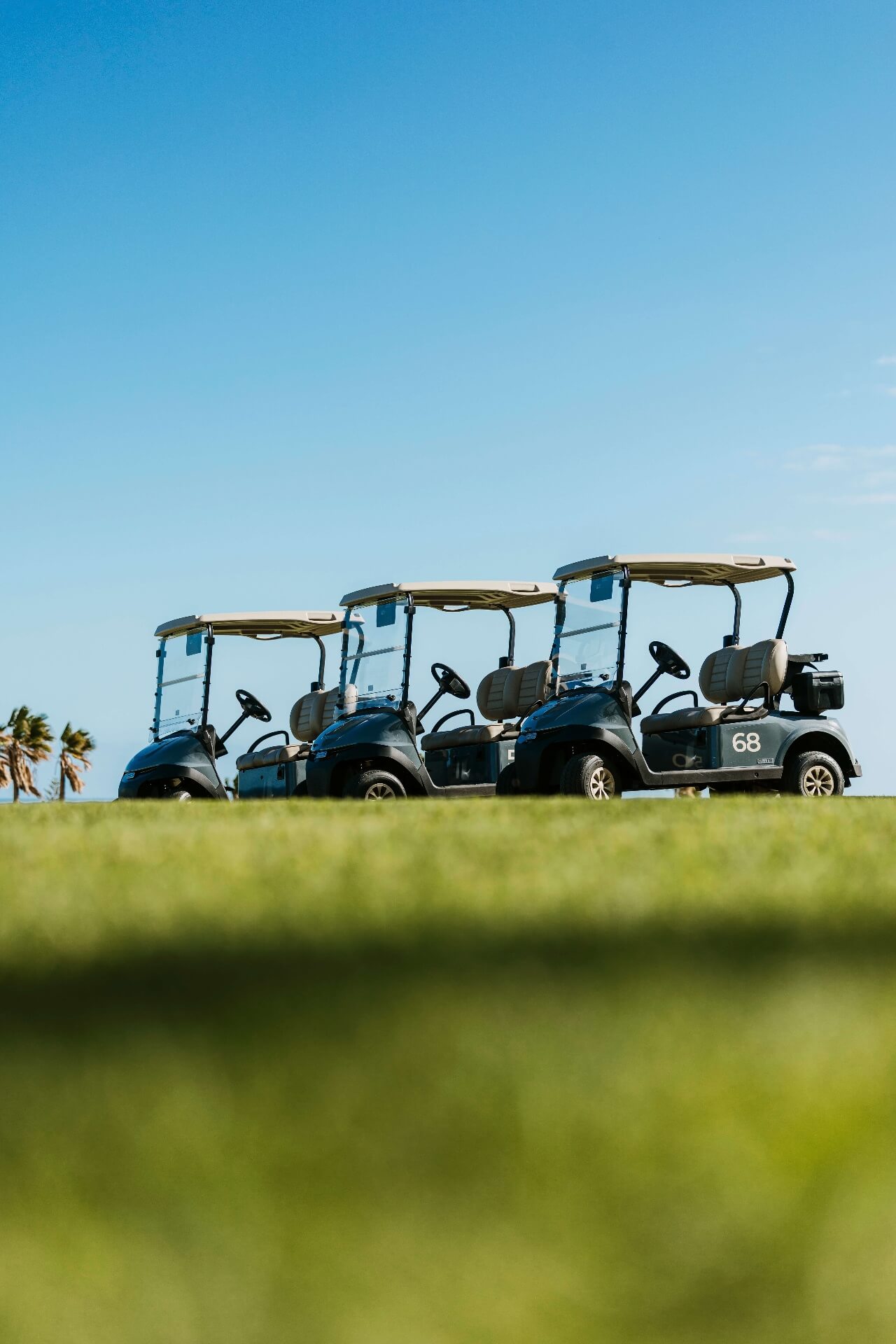 Buggy Fleet in a Row