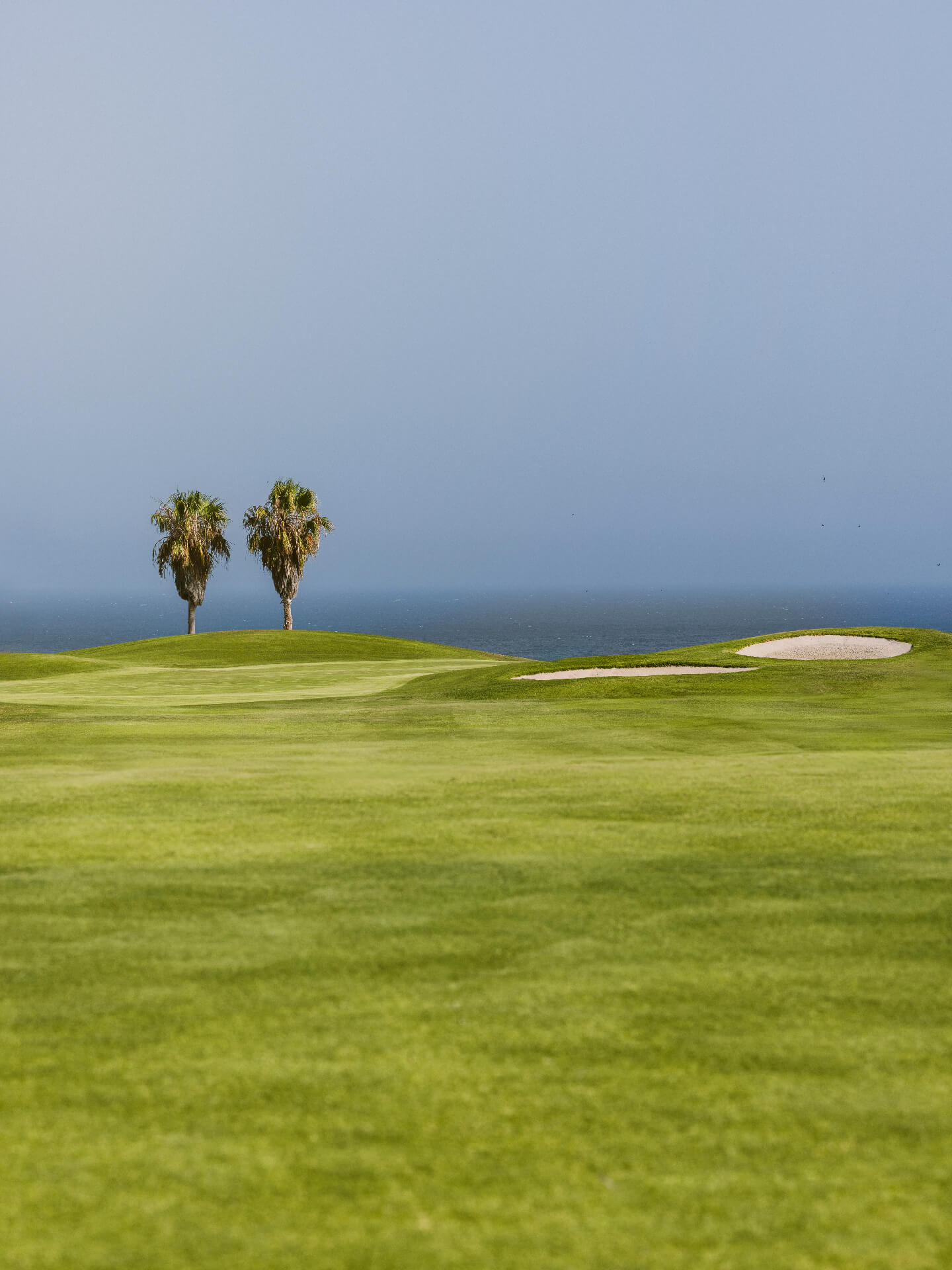 Golf del Sur course renovation