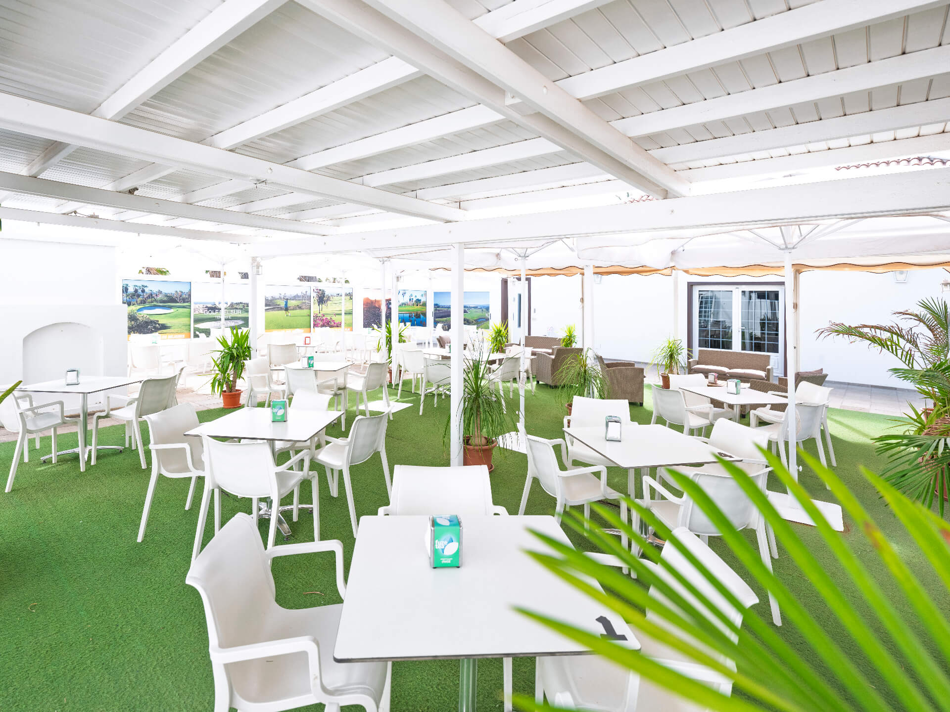 Terrace dining area
